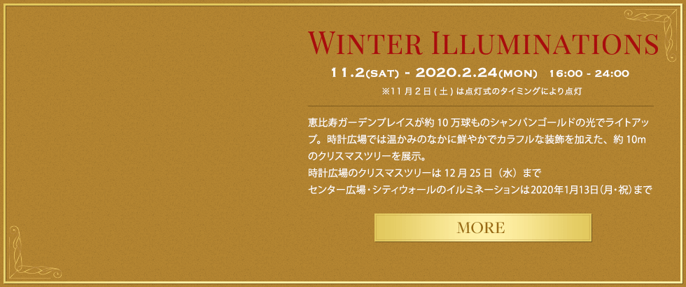 WINTER ILLUMINATIONS 11.2(SAT) - 2020.2.24(MON)  16:00 - 24:00 11月2日は点灯式のタイミングにより点灯
